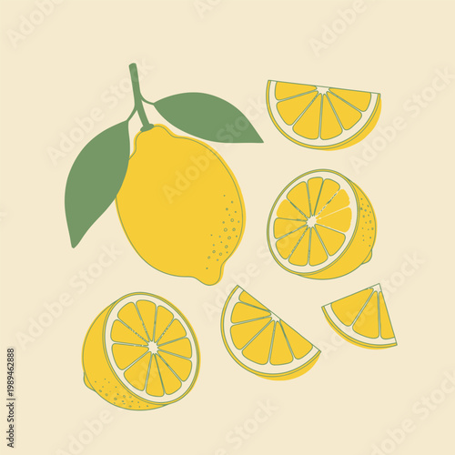 Fresh lemons and slices a citrus still life illustration