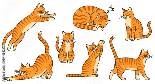 Orange Ginger Tabby Cat Cartoon Character Activity Poses Set