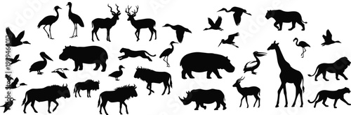 Wildlife animal and bird silhouette collection, black vector safari species including mammals and flying birds isolated for nature design elements set
