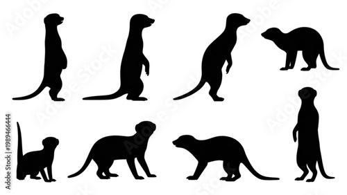 Meerkat Silhouette Pose Collection  Standing, Sitting and Alert Desert Animal Set