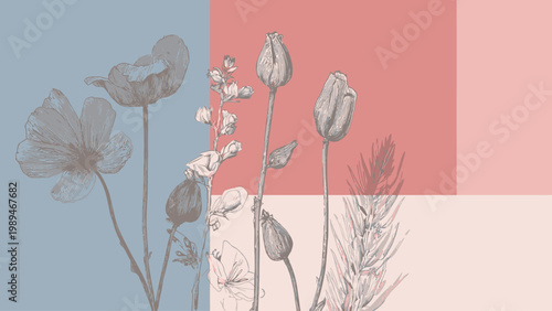 Delicate Line Art Botanicals on a Soft Pastel Geometric Background