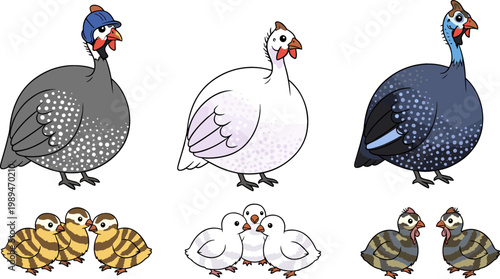 Collection of Guinea Fowl and Guinea Fowl Chick Designs, Featuring Different Colors, Poses, and Playful Interactions