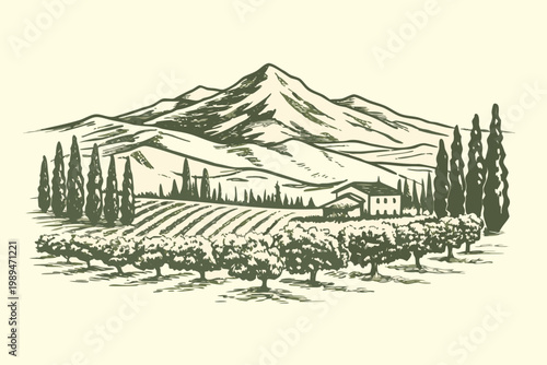 A serene landscape featuring a vineyard nestled near rolling mountains