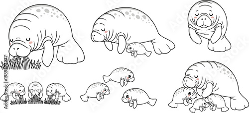Collection of Manatee and Manatee Calf Designs, Featuring Different Poses, Family Interactions, and Feeding Scenes