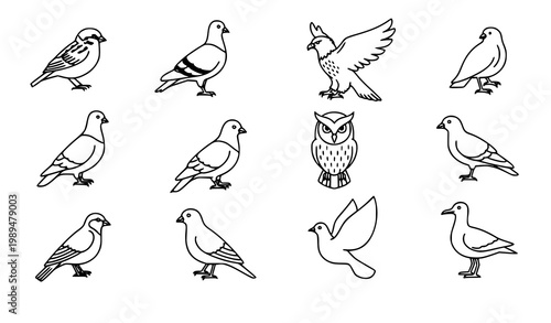Bird line icon set animal nature vector collection