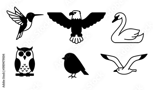 Decorative bird icon set nature animal vector collection