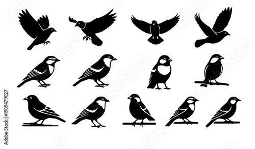Bird silhouette icon set flying animal vector symbols