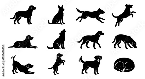 Black dog silhouettes set, 12 canine action poses and behaviors, labrador and retriever pet icons, flat vector animal collection for logo design