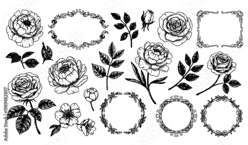 Vintage floral vector set with engraved botanical flowers leaves and decorative ornamental elements