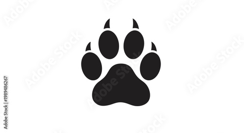 Black bear paw print closeup.