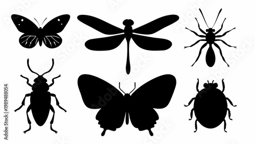 Collection of diverse insect silhouettes including a detailed butterfly elegant dragonfly crawling ant and rounded beetle presented as clean vector graphics on a bright white