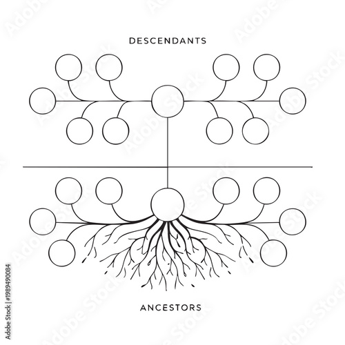 illustration of a genealogy diagram showing descendants and ancestors. The composition features a central node with branching lines forming a structured family tree, with circles as placeholders for