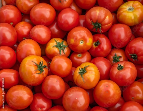 Fresh Ripe Red And Orange Tomatoes In A Pile At A Farmers Market Close Up View Of Organic Garden Vegetables
