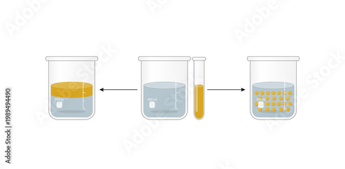 Emulsion, a mixture of two immiscible liquids (oil and water) in beakers, Emulsion oil in water, Immiscible liquids. Emulsification, emulsifier. isolated on white background. Vector illustration