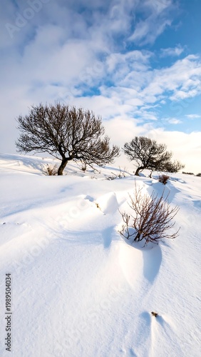 A wintry landscape showcases snow-covered terrain with two bare trees beneath a bright blue sky partially veiled by wispy clouds