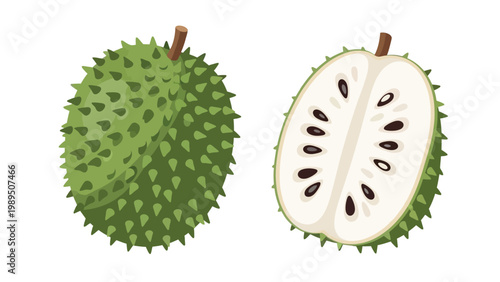 Illustration of a whole and halved green prickly fruit with white interior and black seeds on a white background.