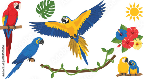 Set of Vibrant Macaw Parrot Illustrations Featuring Scarlet Macaw Blue and Yellow Macaw and Hyacinth Macaw with Tropical Jungle Foliage Hibiscus Flowers and Sun for Nature Graphic Designs