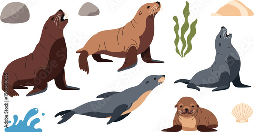 Set of Diverse Seahorse Illustrations Featuring Various Species with Intricate Patterns and Curling Tails for Marine Life Aquarium and Underwater Nature Graphic Designs