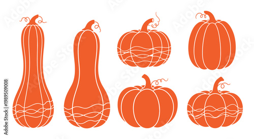 Collection of orange pumpkin and squash illustrations with white wavy line details and curly stems isolated on a white background.
