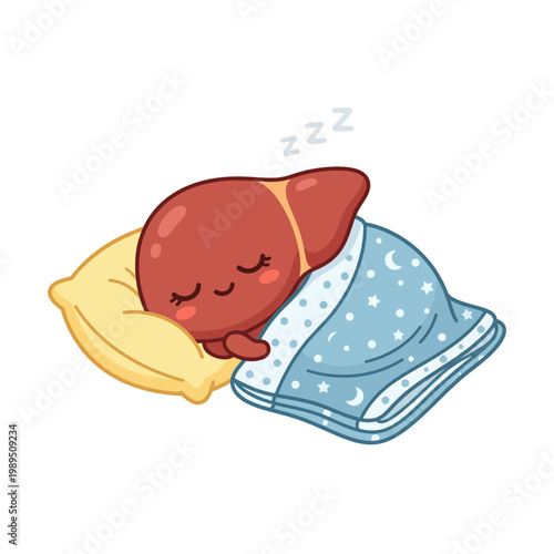 A cute liver cartoon character sleeps peacefully on a pillow.
