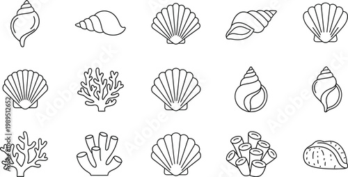 Collection of black line of various seashells and coral seashell conch shell scallop shell spiral shell
