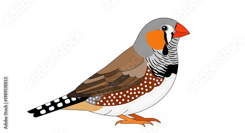 A small brown and gray bird with orange beak