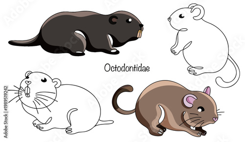 Octodontidae. Coruro