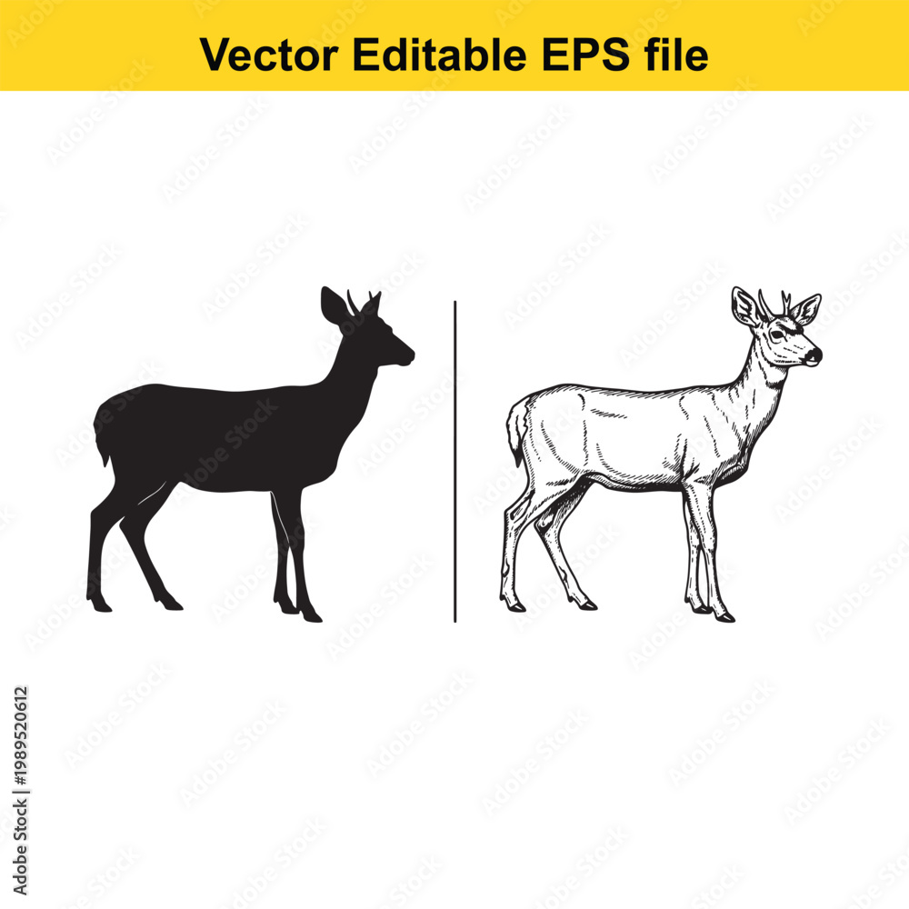 Fototapeta premium Vector art of silhouette and sketch of a deer standing