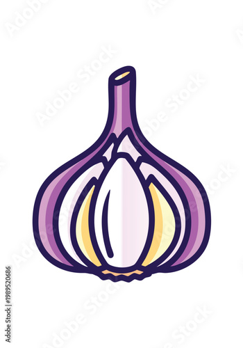 Fresh Whole Garlic Clove Illustration for Culinary and Food Content