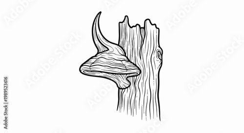 Stylized illustration of a shelf fungus growing on a decaying tree trunk