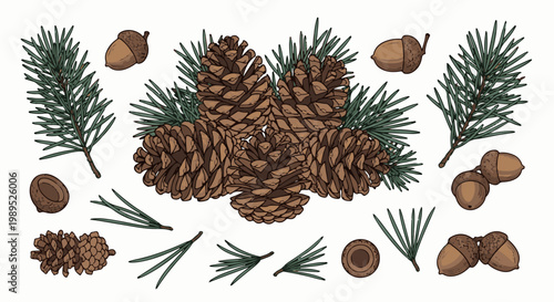 A collection of pine cones and acorns with pine needles