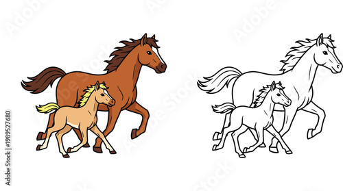 Running Horse and Foal Illustration Set with Color and Line Art Versions for Coloring Pages