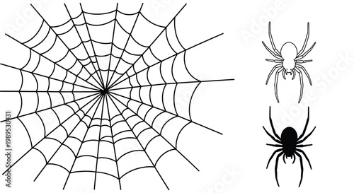 Simple black and white vector graphic featuring an intricate spider web and two distinct arachnid illustrations.