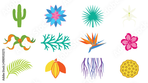 Collection of stylized tropical flora and desert succulents with vibrant colors and clean lines