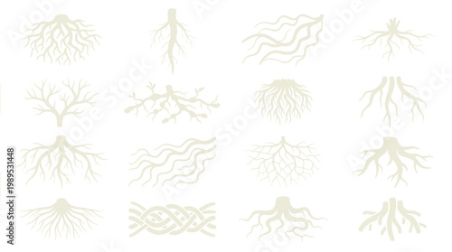 Collection of diverse plant root systems in white isolated on a clean background
