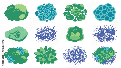 Abstract Organic Shapes and Textures in Green and Blue Tones