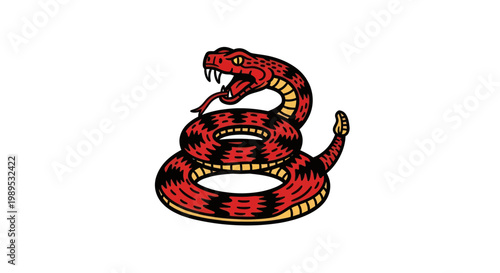 Rattlesnake coiled, ready to strike, open mouth, fangs visible, white background