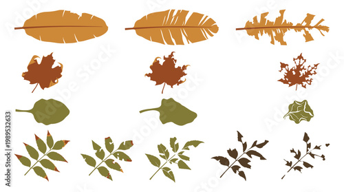 Various stylized autumn leaves with signs of decay and insect damage