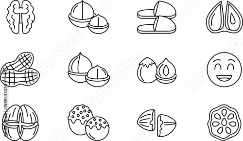 Nut and Fruit Icon Set Featuring Various Nut Shapes, Peels, and Cracked Shells for Food and Snack Designs