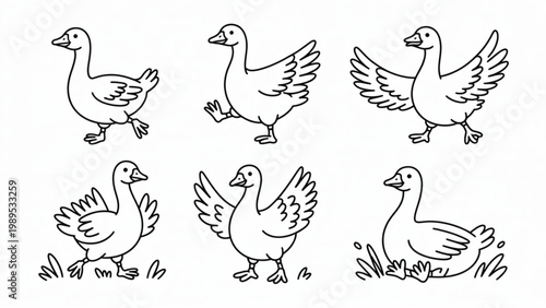 Minimal Cute Goose Farm Bird Character Set With Playful Outdoor Poses Isolated Vector Illustration Design Collection