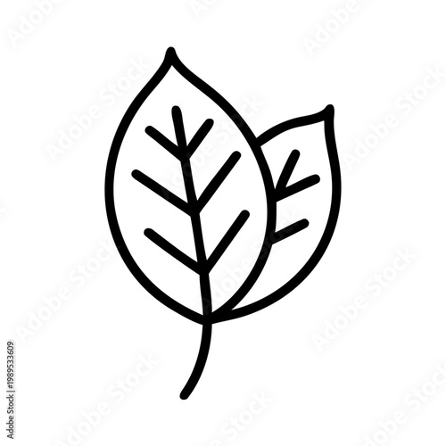 Two outline leaves icon representing nature, plants, and organic beauty simplicity