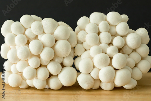 Cuadro en lienzo Premium white shimeji mushrooms, fresh and delicate gourmet ingredients with ele