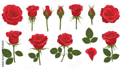 Collection of red rose flowers in different stages of bloom including buds and individual green leaves on a white background.
