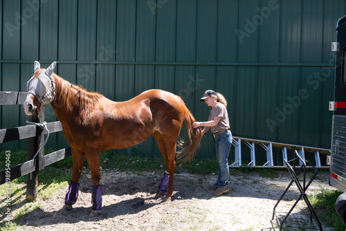An elderly woman brushing her horse tail