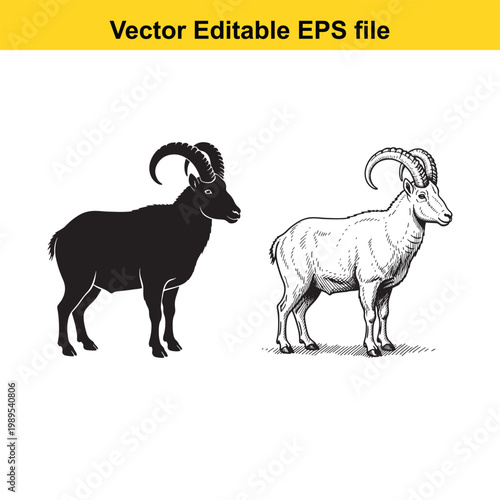 Vector art of two mountain goats, one in silhouette and one in sketch style, standing and looking in opposite directions
