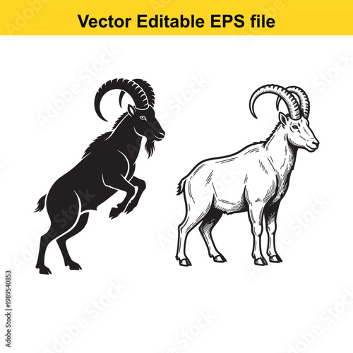 Vector art of two goats, one black silhouette and one white, standing side by side isolated on a