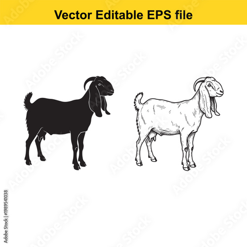 Vector art of two goats, one black silhouette and one detailed sketch