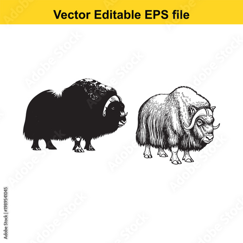 Vector art of two muskoxen, one black silhouette and one detailed sketch