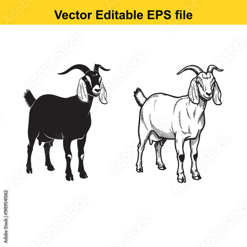 Vector art of two goats, one black silhouette and one detailed sketch