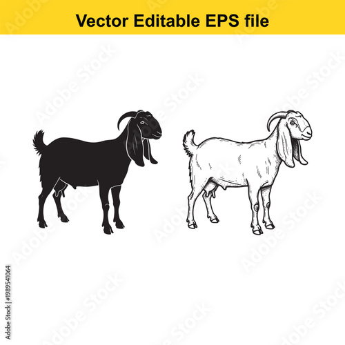 Vector art of two goats, one black silhouette and one detailed line drawing, isolated on a